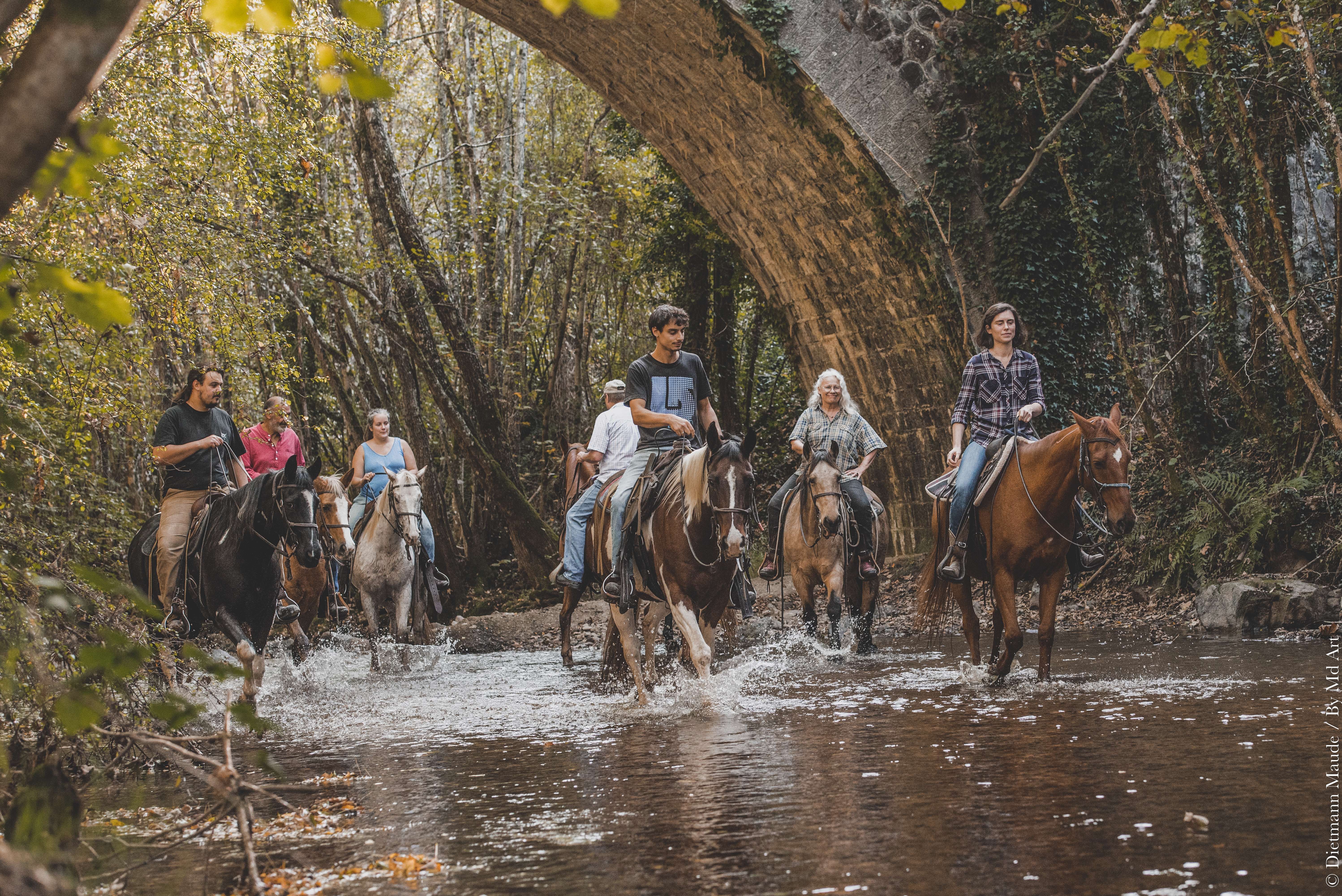 Randonnées à cheval