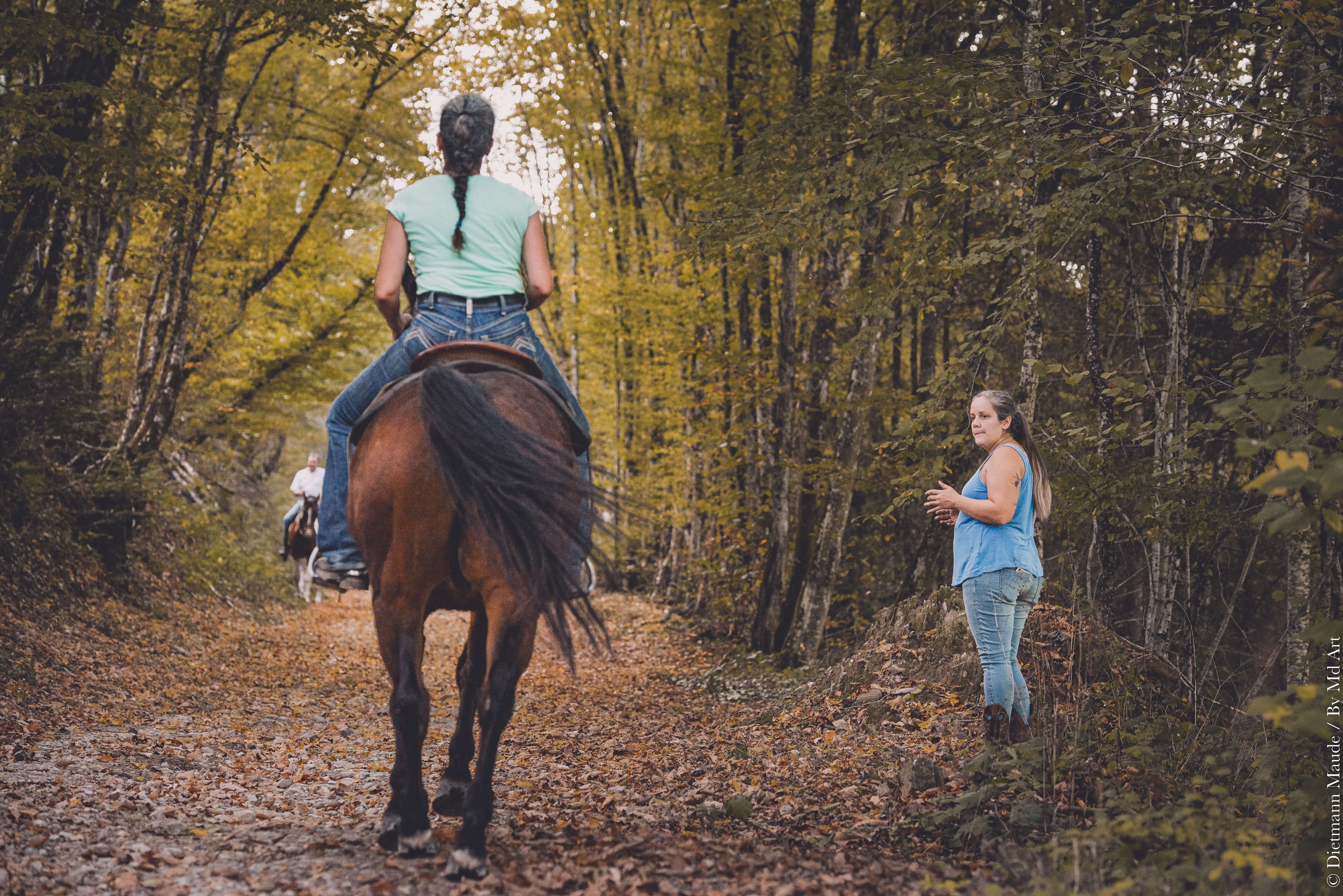 offrez une séance de découverte